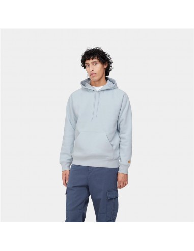 CARHARTT-HOODED CHASE ICARUS